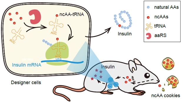 641159407272425790b6671556e3ad35.jpg 641159407272425790b6671556e3ad35.jpg