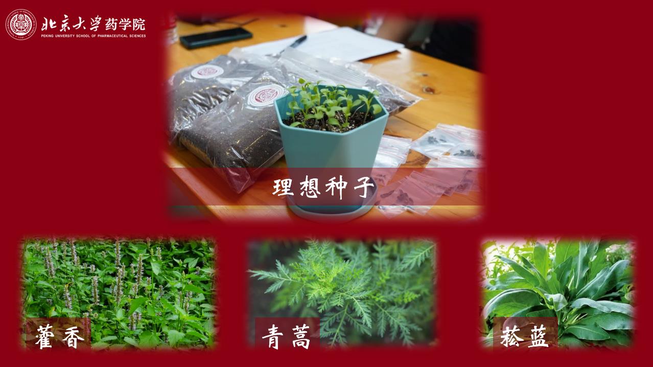 202ce016fd714682b327153106c5c7ca.jpg 202ce016fd714682b327153106c5c7ca.jpg