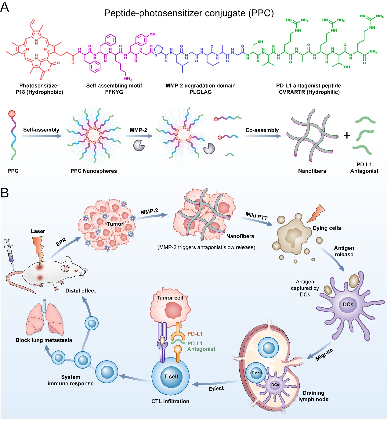 086523e11bd84a8c94fa7b91eaa2a8cd.jpg 086523e11bd84a8c94fa7b91eaa2a8cd.jpg