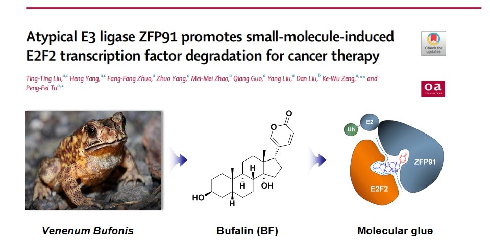 43eb2c5a9f5c406a8163a0675965542c.jpg 43eb2c5a9f5c406a8163a0675965542c.jpg