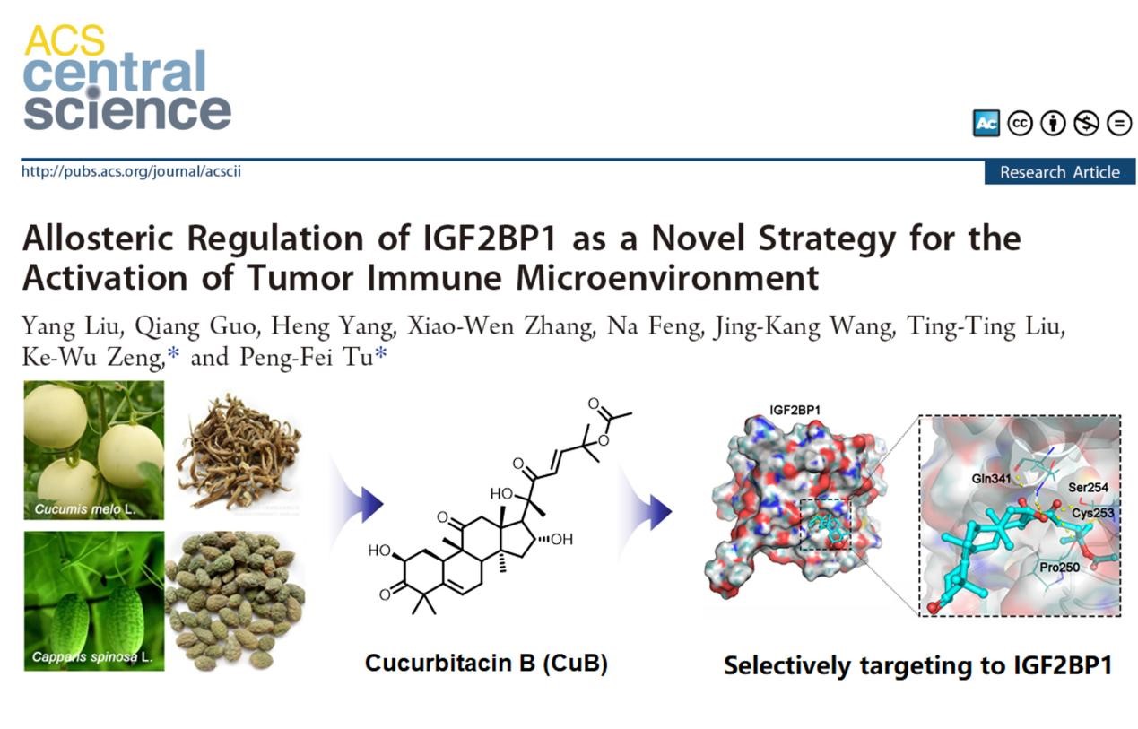 640e26abbfd044dcb662b47316220fe7.jpg 640e26abbfd044dcb662b47316220fe7.jpg