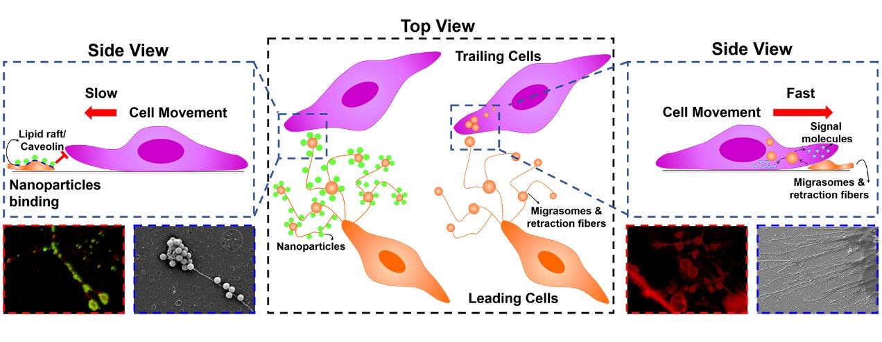 6640acbad67c45a8aadc7e25ac9d8b79.jpg 6640acbad67c45a8aadc7e25ac9d8b79.jpg