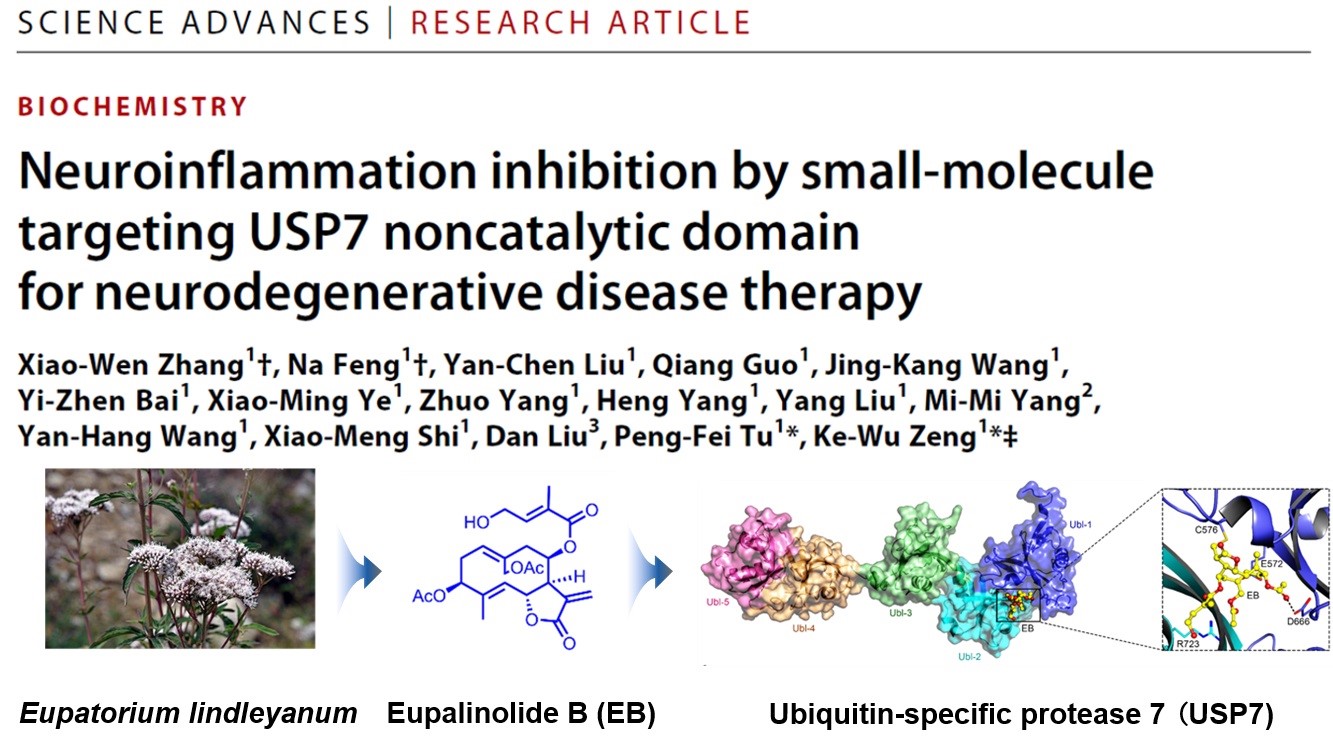 ac6647328b3c4bb789a6cfd6b66f86c2.jpg ac6647328b3c4bb789a6cfd6b66f86c2.jpg