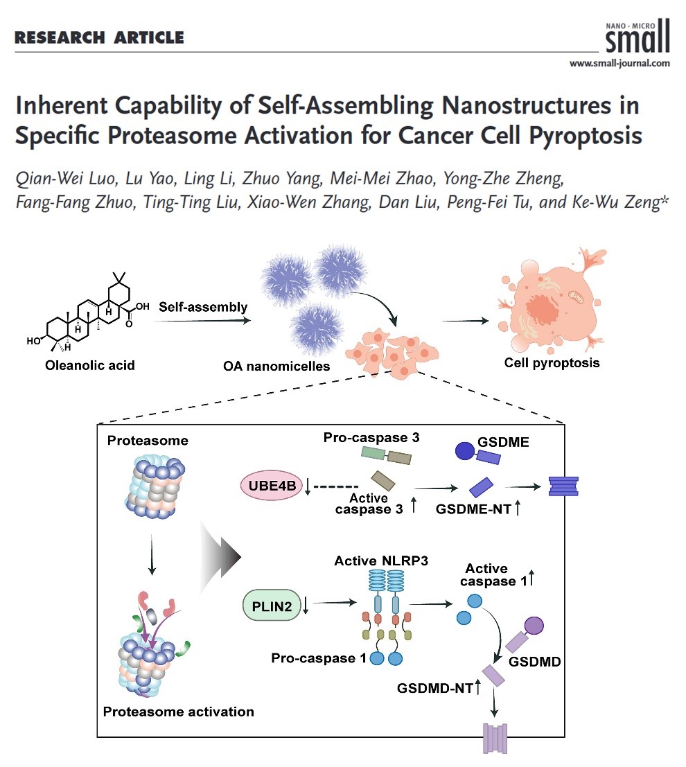 b5bcd069a0974995ba23d40bc6c15d73.jpg b5bcd069a0974995ba23d40bc6c15d73.jpg