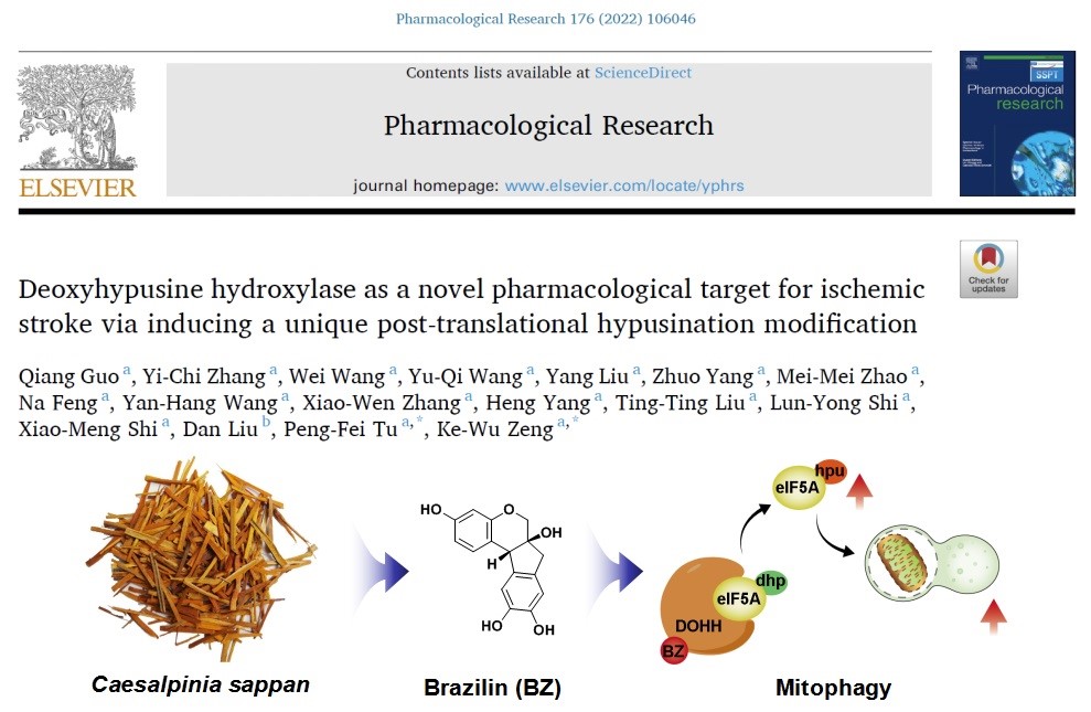 fed18a78818944d1baa4372195293b3b.jpg fed18a78818944d1baa4372195293b3b.jpg