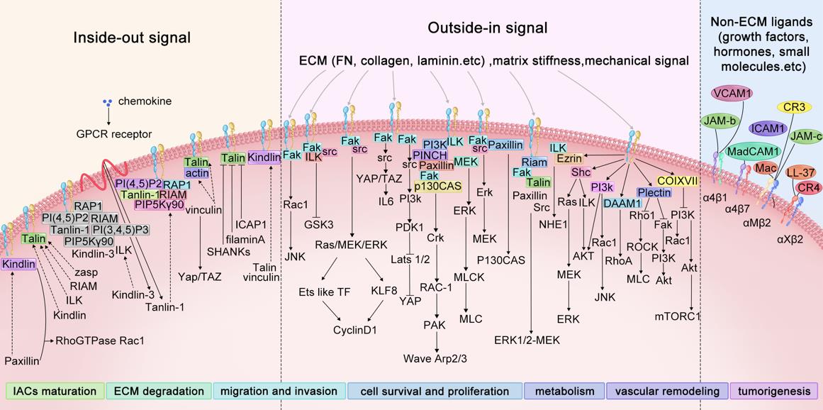 95bfe015cd634534b41dc5216c5ef092.jpg 95bfe015cd634534b41dc5216c5ef092.jpg