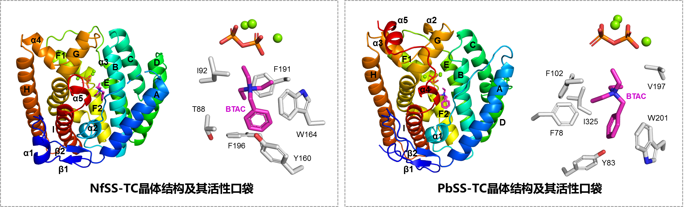 1e5fda4836de44afaea2adfad89f29a4.png